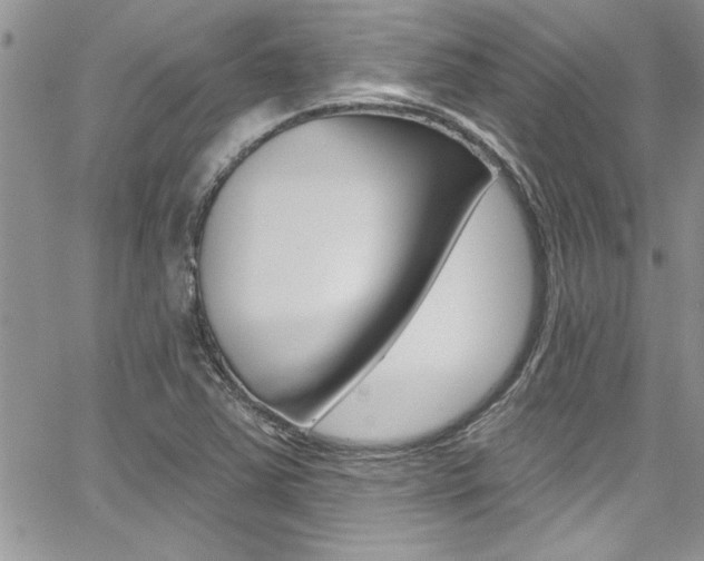 X0000068291363200604210930