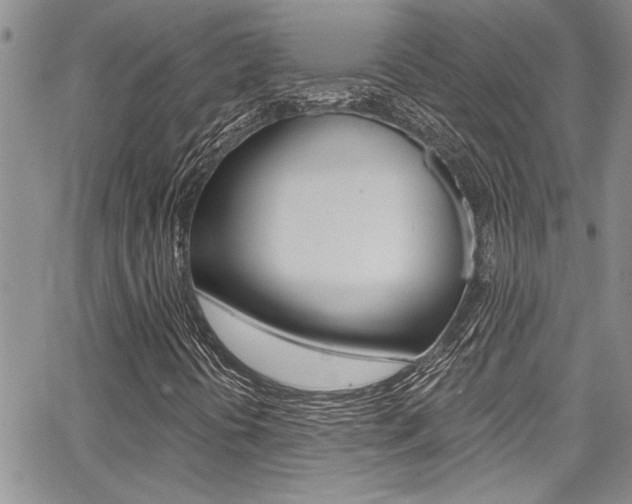 X0000068291394200604210929