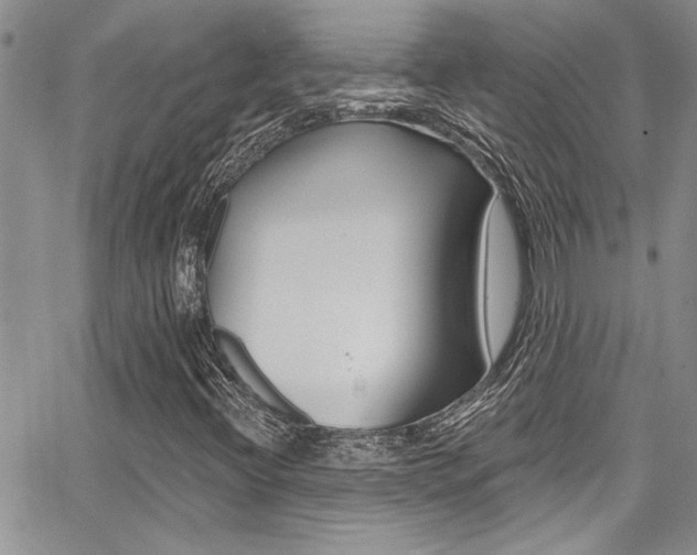 X0000068291396200604210929