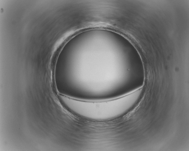 X0000068291414200604210930