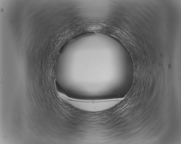 X0000068291441200604210929