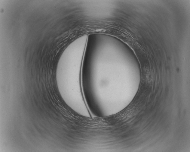 X0000068291442200604210929
