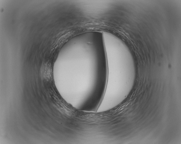 X0000068291444200604210929
