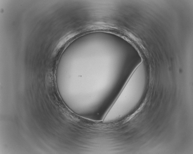 X0000068291453200604210929