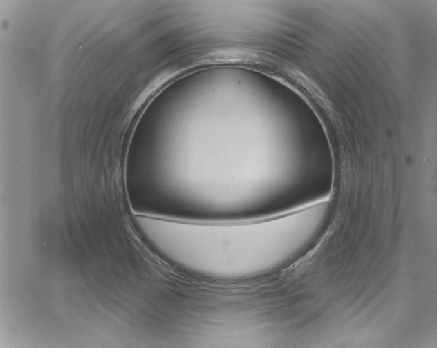 X0000068291465200604210929