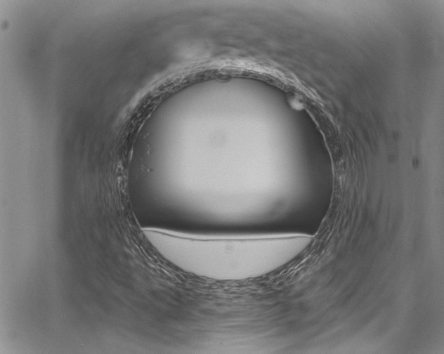 X0000068291495200604210928