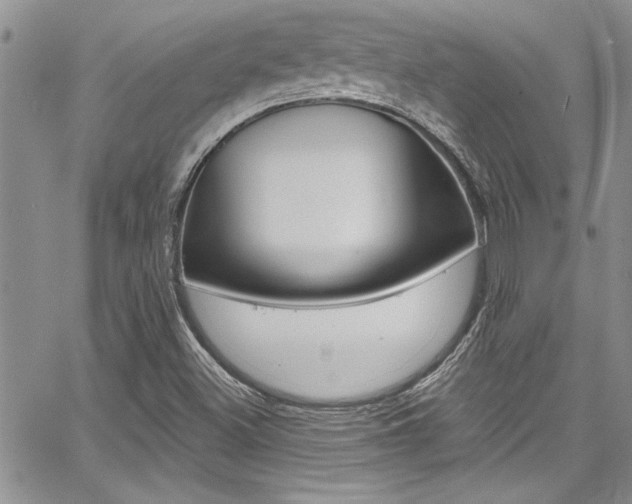 X0000068291500200604210928