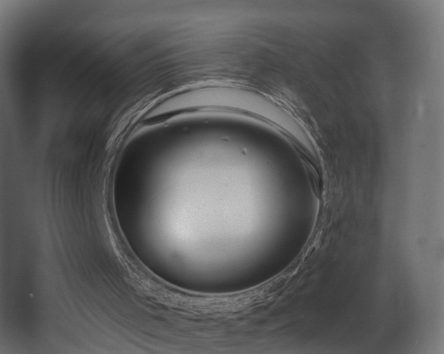 X0000068290001200604211149