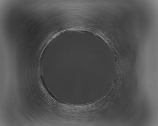 X0000068290002200604211149
