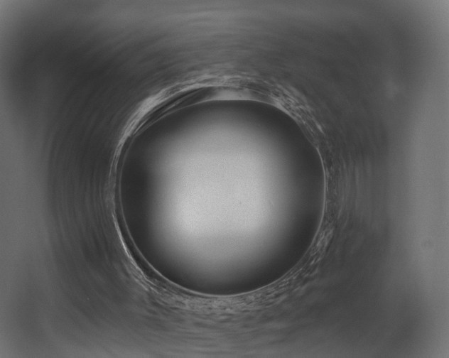 X0000068290003200604211149