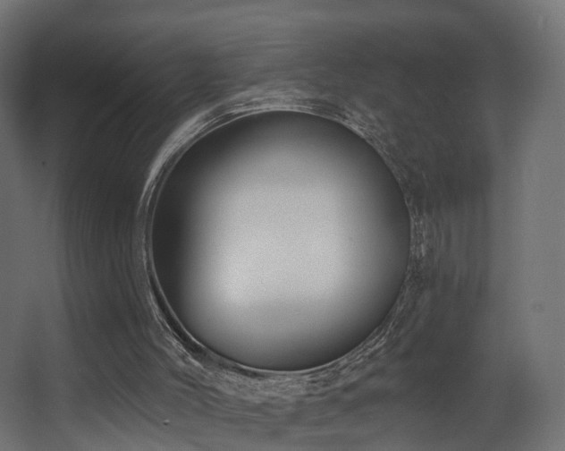 X0000068290004200604211149