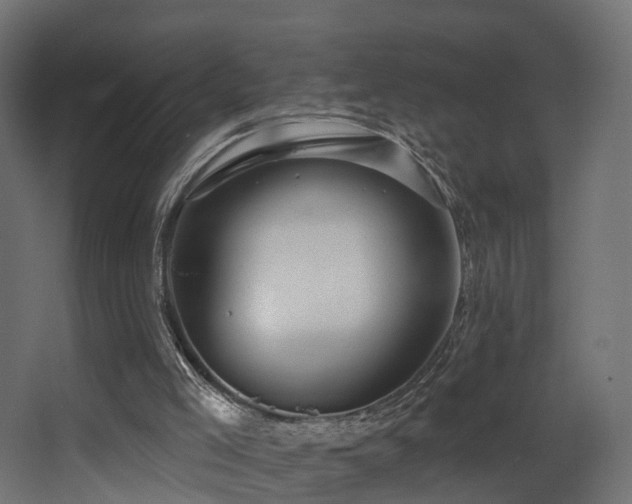 X0000068290005200604211149