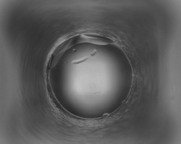 X0000068290006200604211149