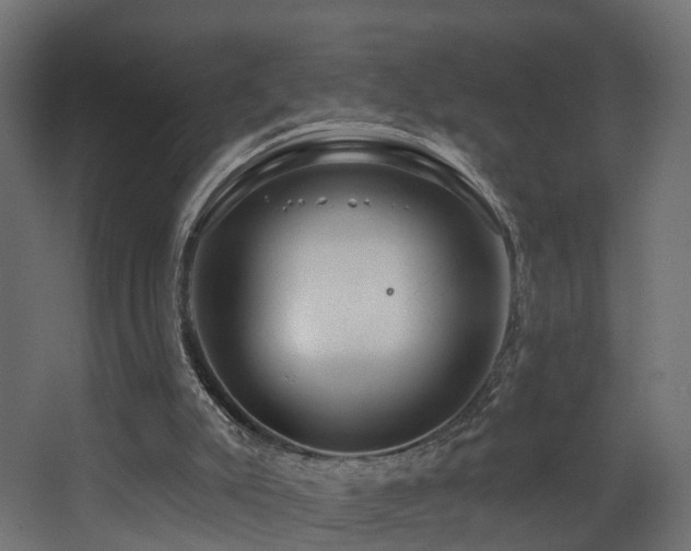 X0000068290007200604211149