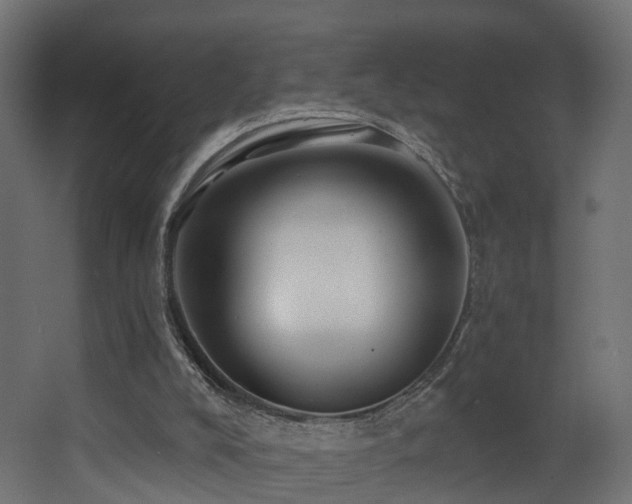 X0000068290008200604211149