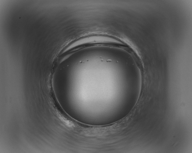 X0000068290009200604211149