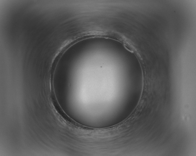 X0000068290011200604211149