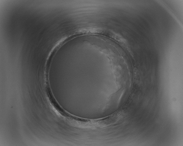 X0000068290012200604211149