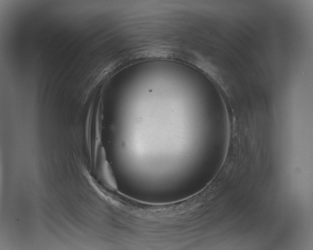 X0000068290013200604211149