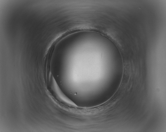 X0000068290015200604211149