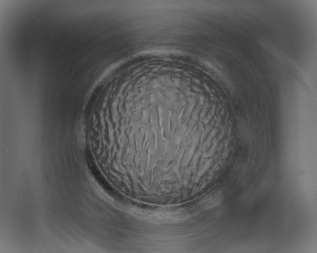 X0000068290016200604211149