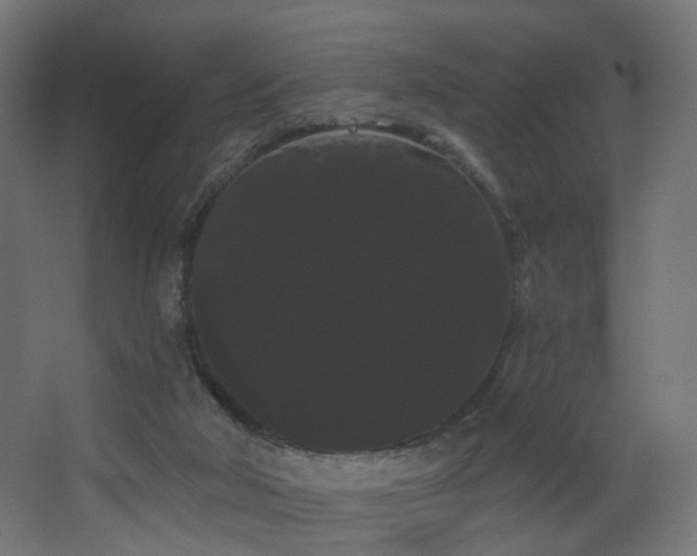 X0000068290018200604211149