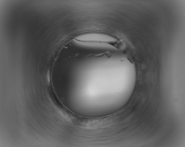 X0000068290021200604211149