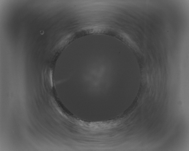 X0000068290022200604211149