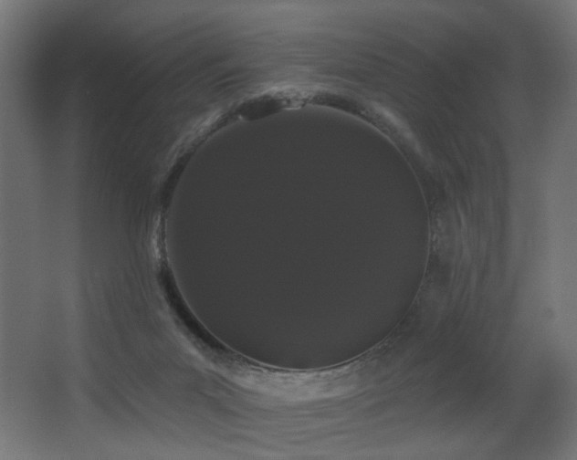 X0000068290023200604211149