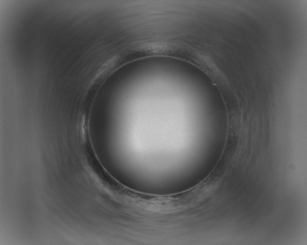 X0000068290024200604211149