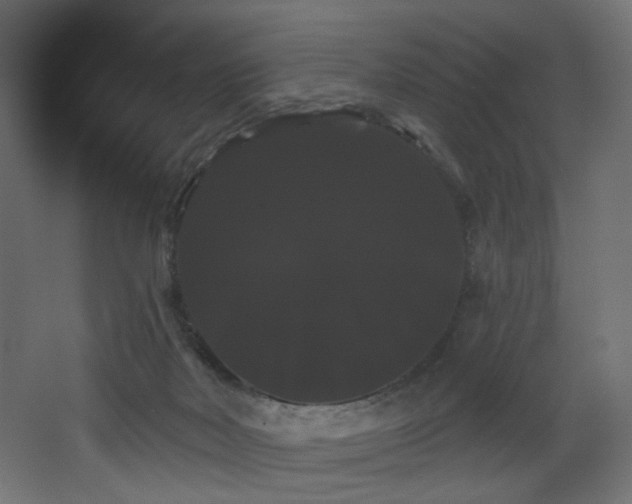 X0000068290026200604211149