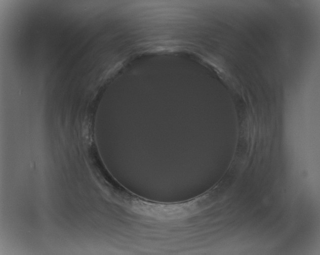 X0000068290031200604211149