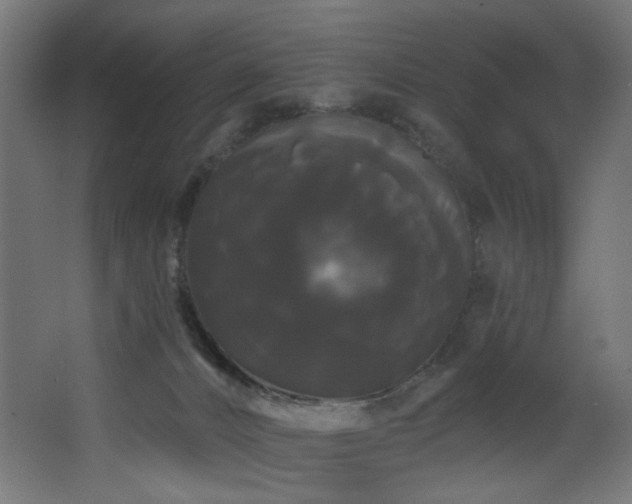 X0000068290032200604211148