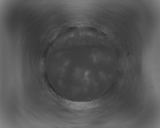 X0000068290034200604211148