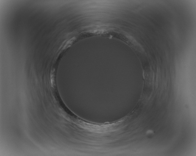 X0000068290035200604211148