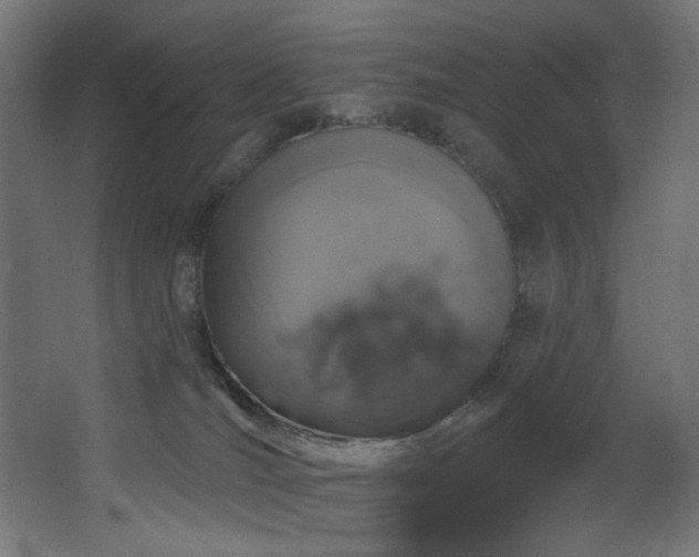 X0000068290036200604211148