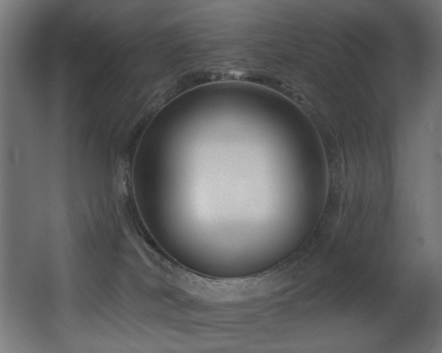X0000068290038200604211148