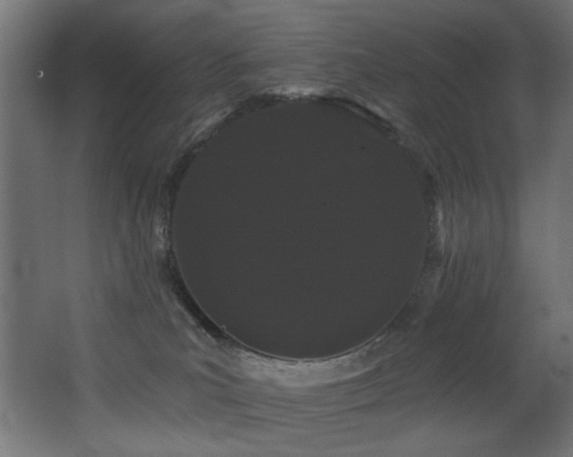 X0000068290039200604211148