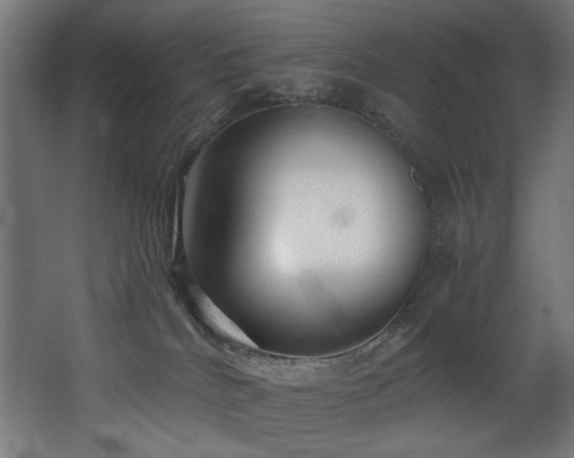 X0000068290040200604211148