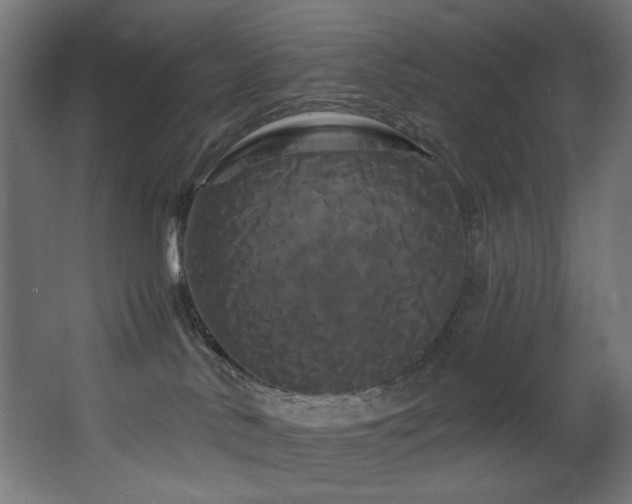 X0000068290042200604211148