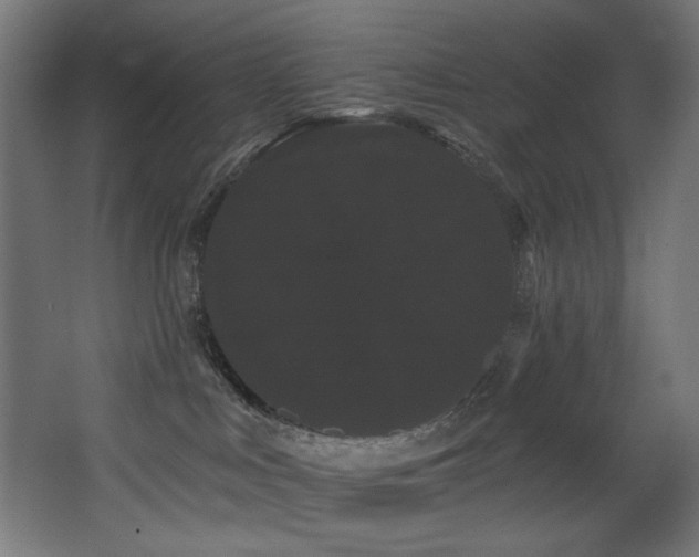 X0000068290043200604211148