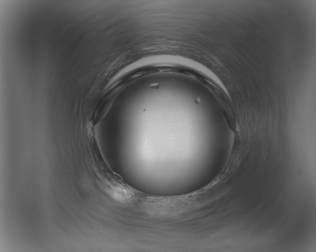 X0000068290045200604211148