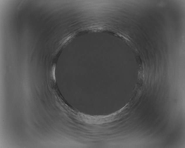 X0000068290047200604211148