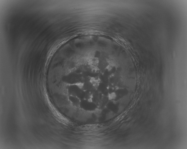 X0000068290049200604211147
