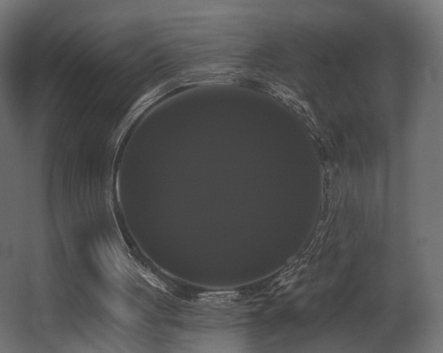 X0000068290051200604211147