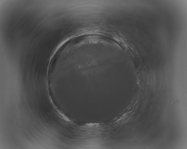 X0000068290052200604211147