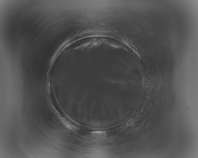 X0000068290053200604211147