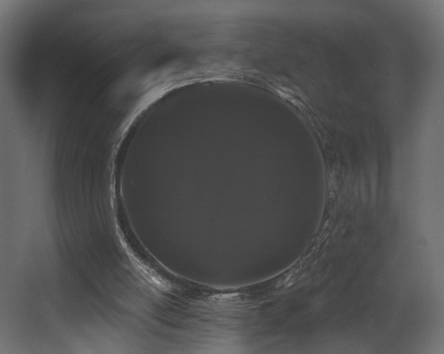 X0000068290054200604211147