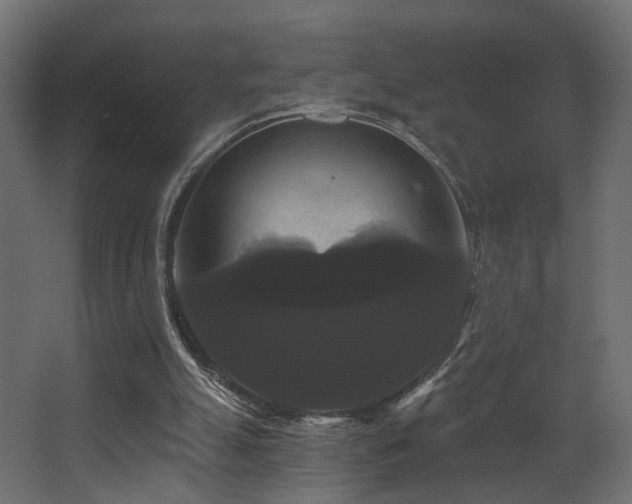 X0000068290055200604211147