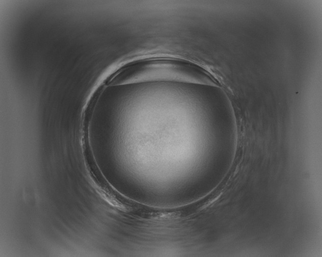 X0000068290056200604211148